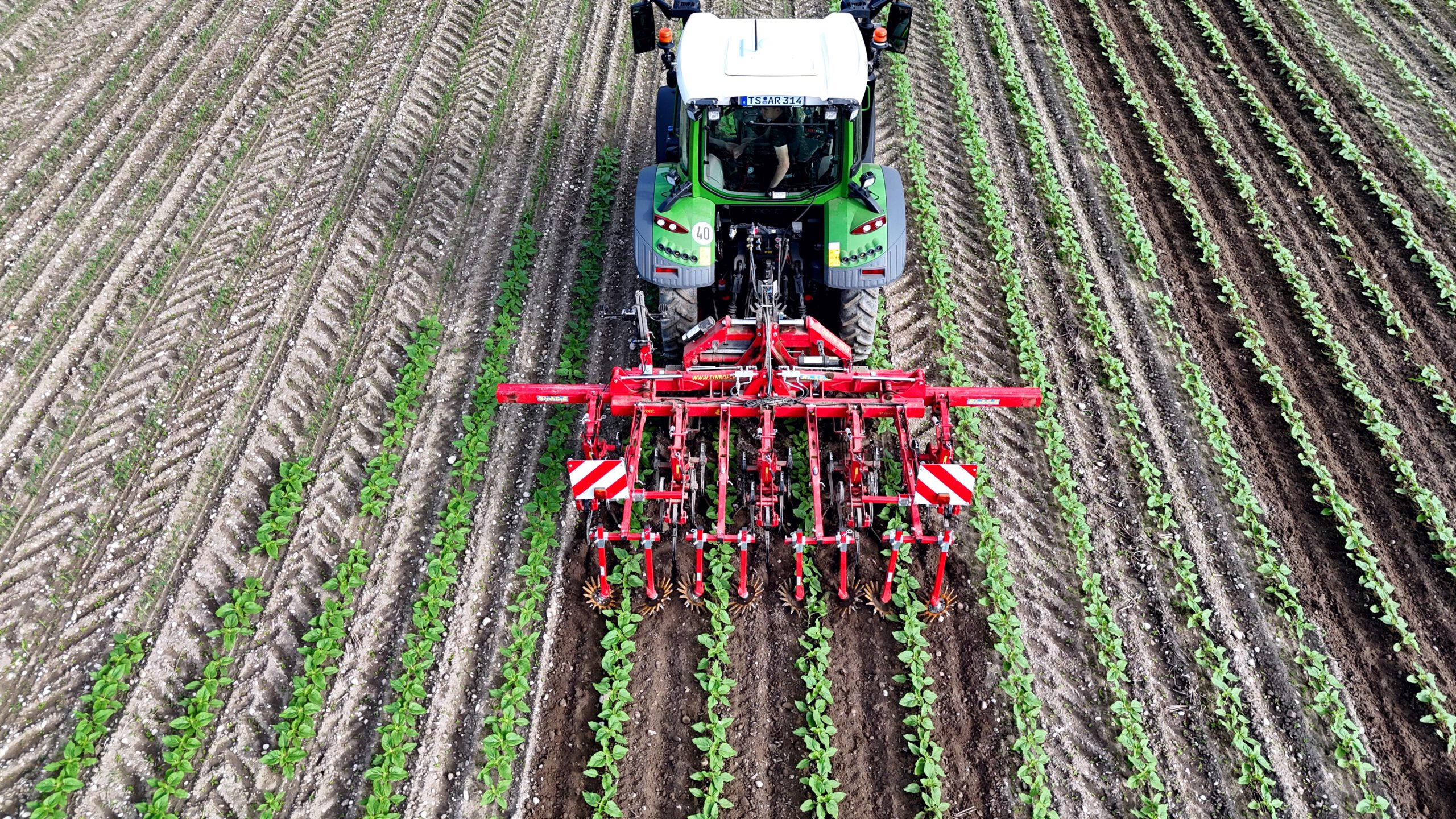 VectorSeed