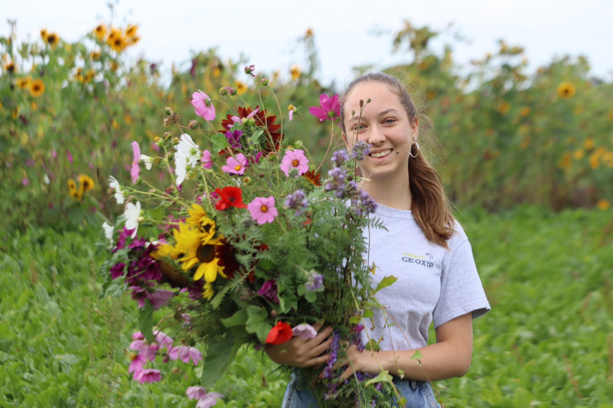 Wildblumen aus einer GEOXIP Fläche