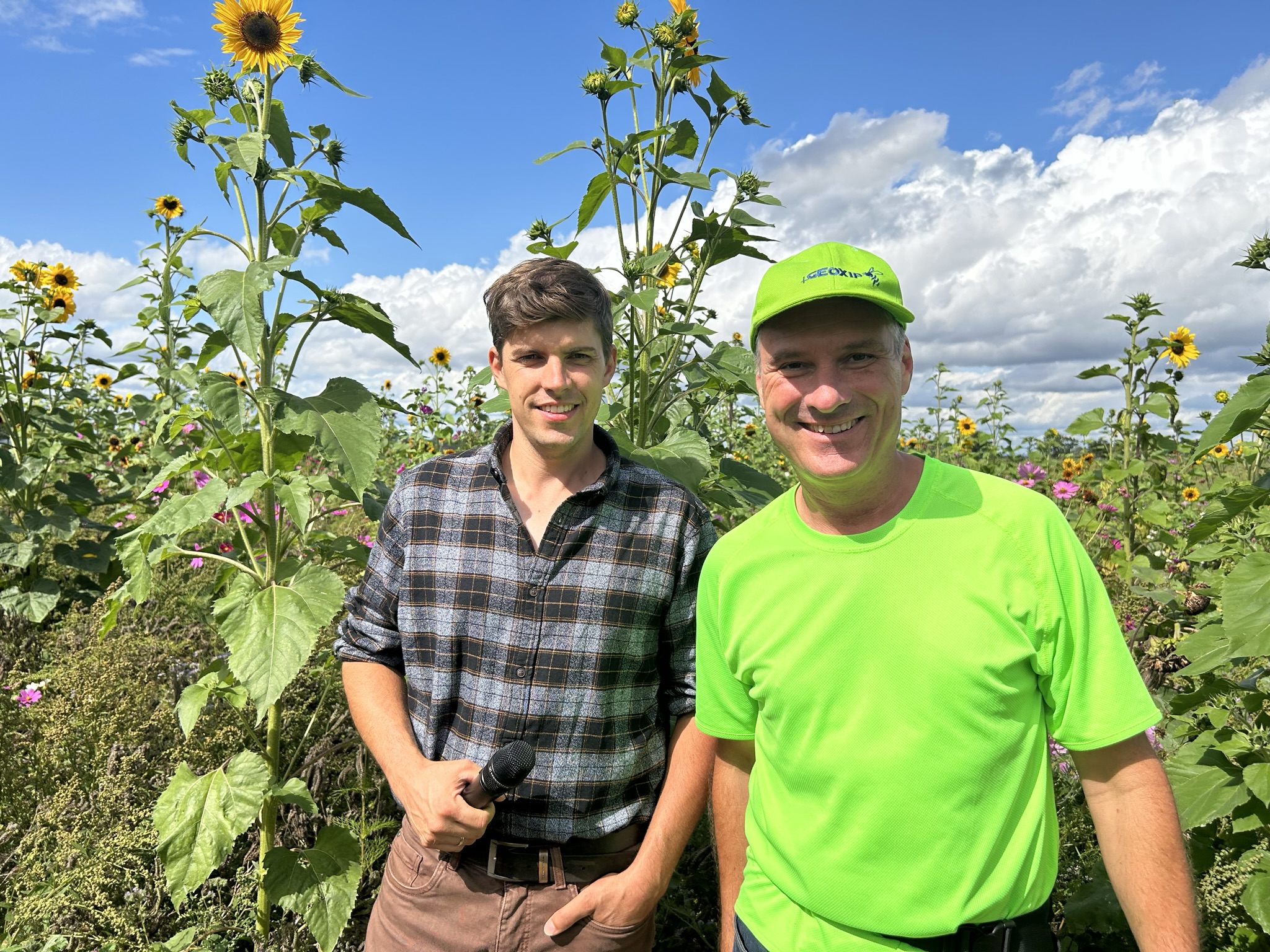 Bienen und Biodiversität auf einer GEOXIP Blühfläche